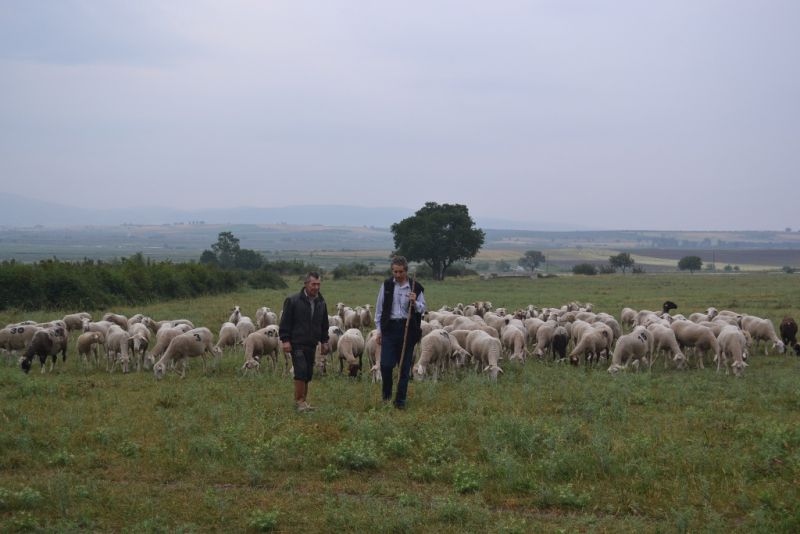 3.Bölüm Çobanla Başbaşa Çiftçi TV Ercan Taşçı Kalfaköy Gönen Balıkesir
